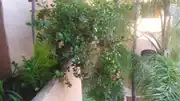 KIMG0137.webp
