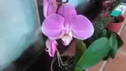 KIMG0138.webp