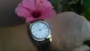 KIMG0145.webp