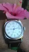 KIMG0148.webp