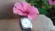 KIMG0158.webp
