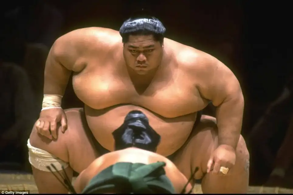 Konishiki1.webp