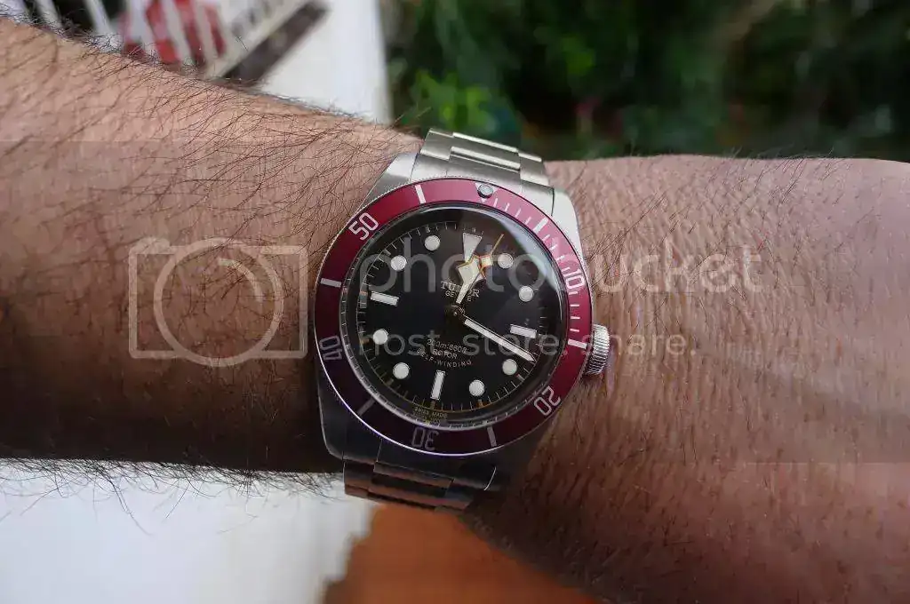 L1010066_zps59aedec1.webp
