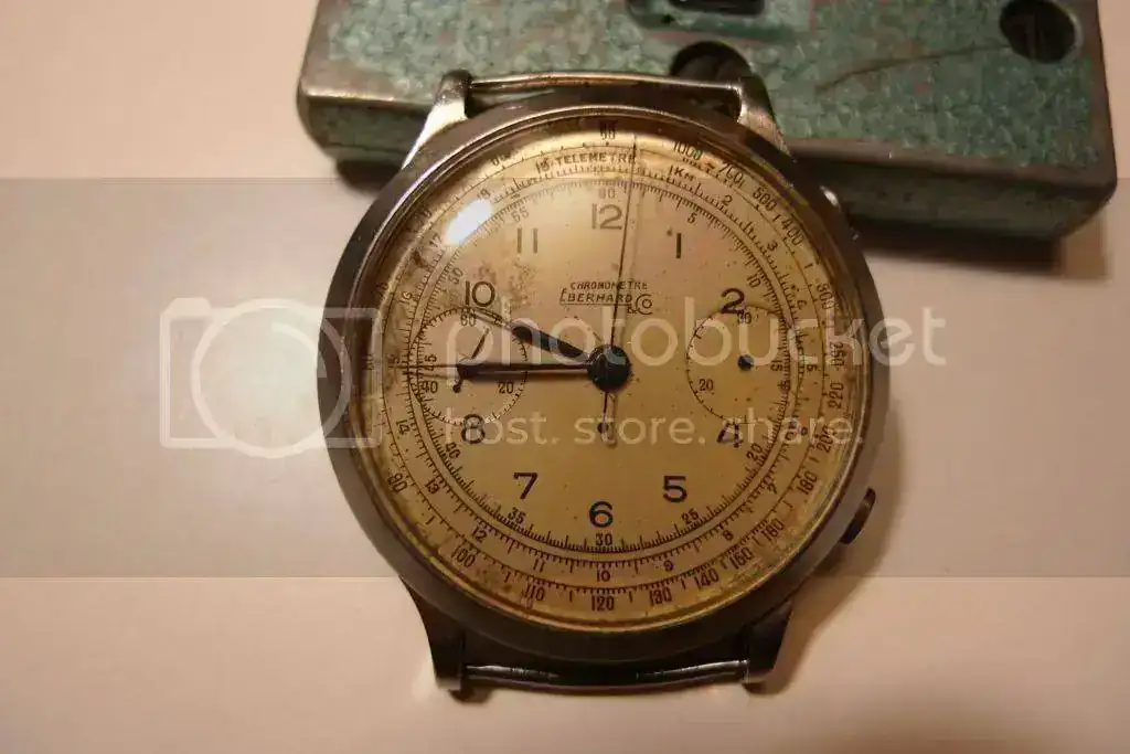 L1050430_zps6e19724b.webp