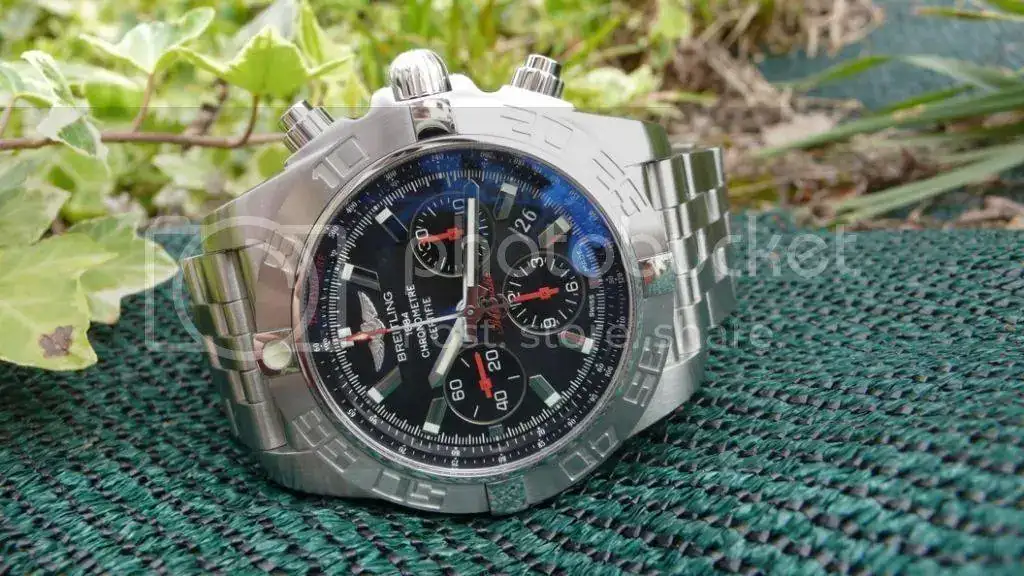 L1050436_zps5d410ad9.webp