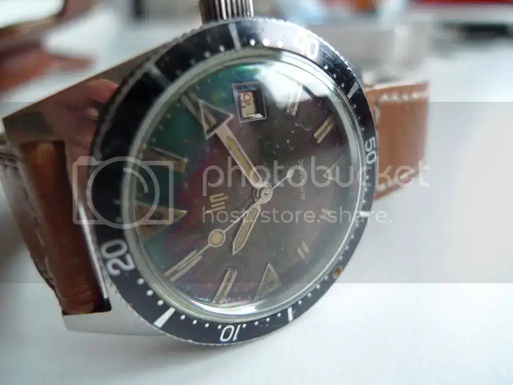 L1060060_zps24en3nhh.webp