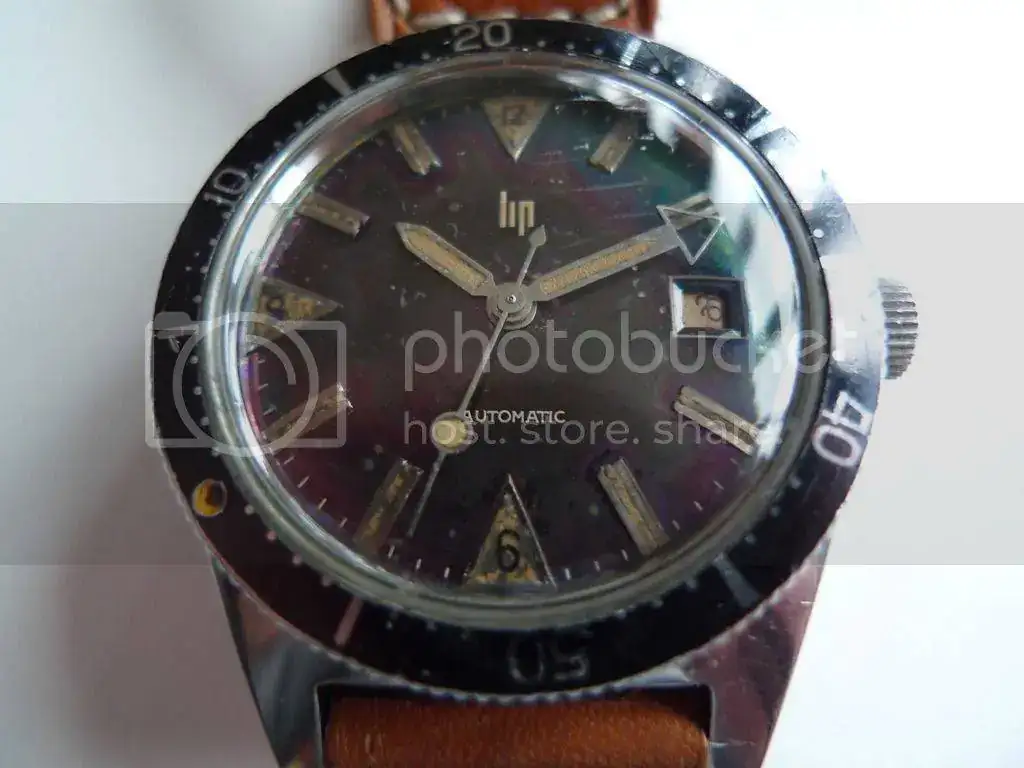 L1060061_zpseoggv6mw.webp