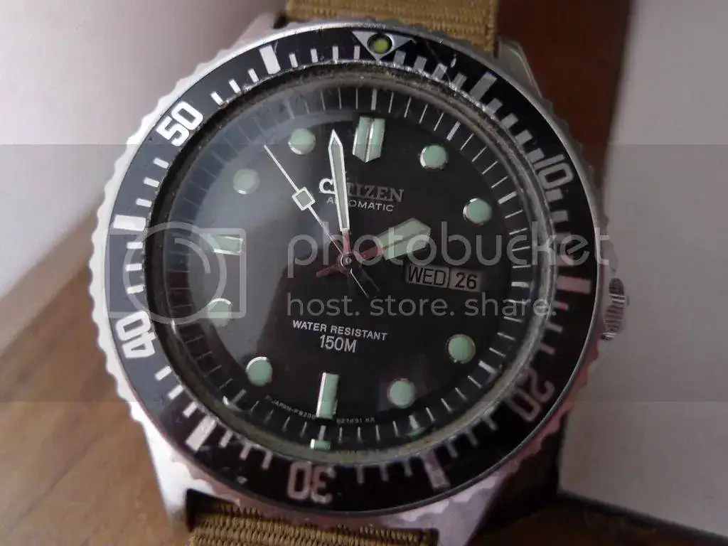L1070365_zpsaltomita.webp
