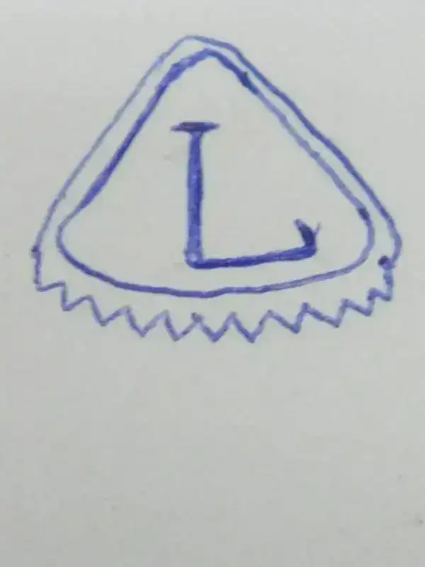 L2.webp