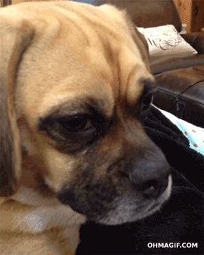 L5WQjD4p8IpO0_zpstperwy2o.gif