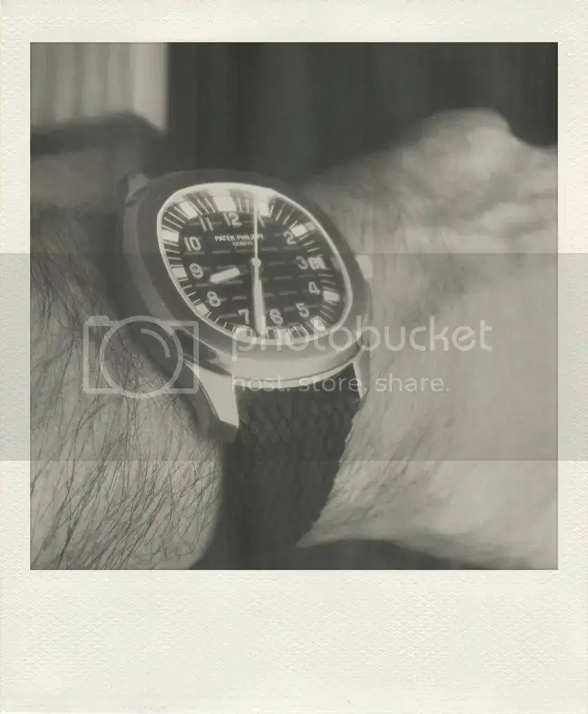 la%20foto_2.webp