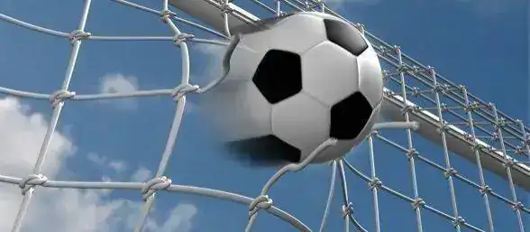 la_mayor_goleada_de_la_historia_en_el_futbol.webp