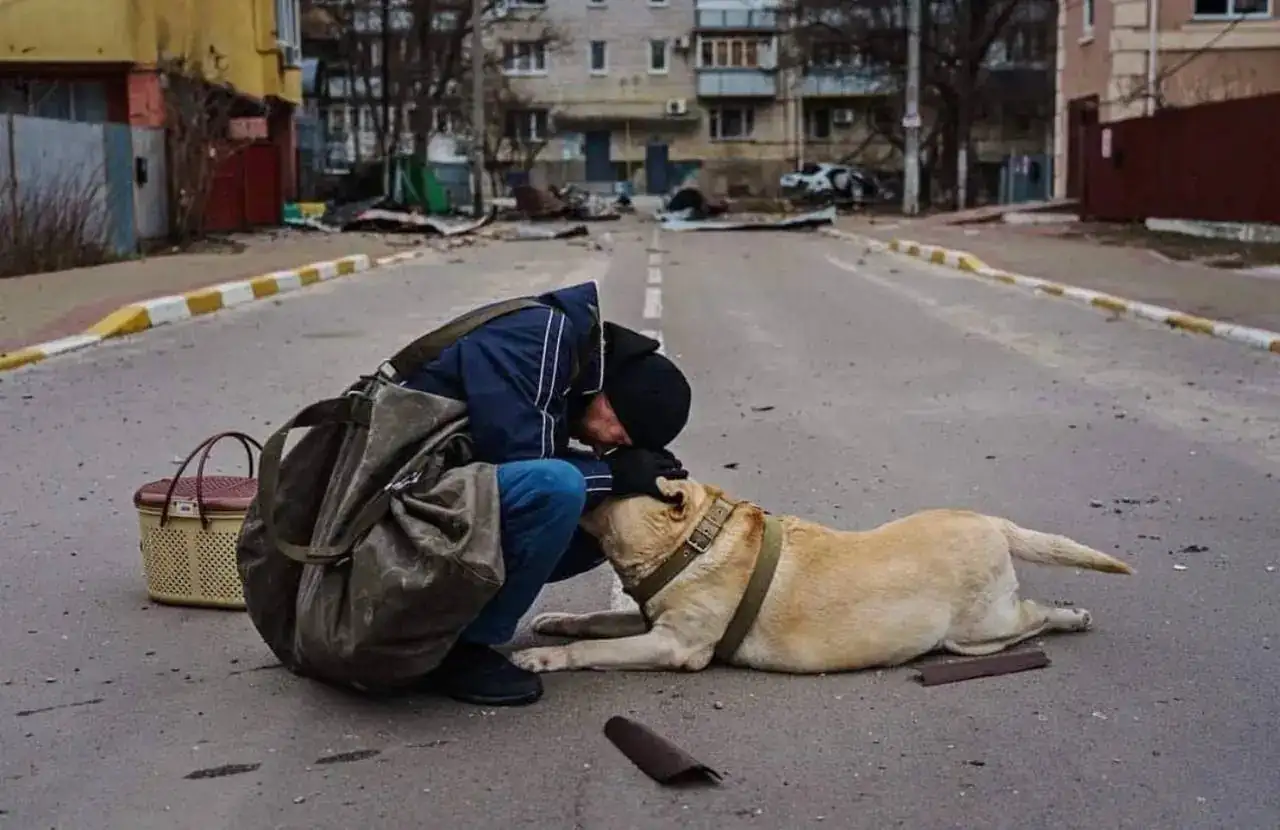Labrador.jpg