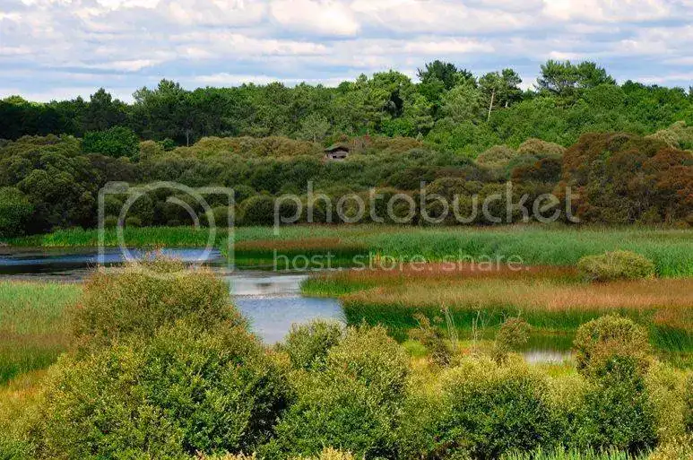 LagunadeCospeito0201.webp