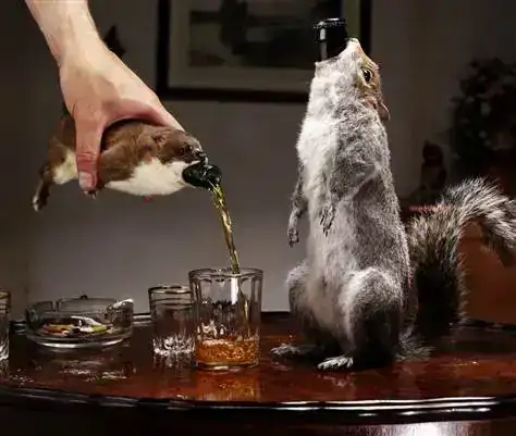 Las+5+cervezas+m%25C3%25A1s+caras+del+mundo+04.webp