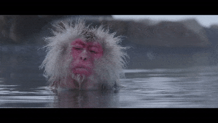 LateHappygoluckyGartersnake-max-1mb.gif