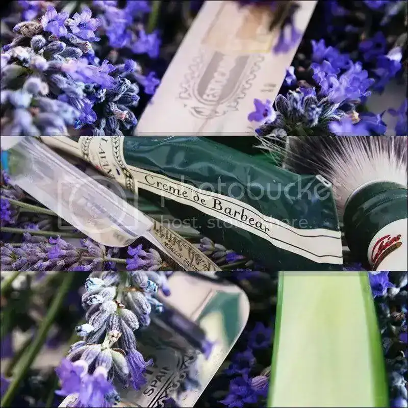 lavanda.webp