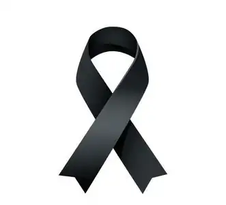 lazo-negro.webp