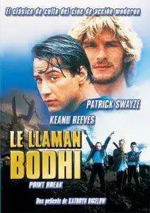 le_llaman_bodhi.webp