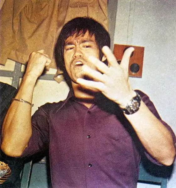 lee-bruce-lee-18317112-561-600.webp