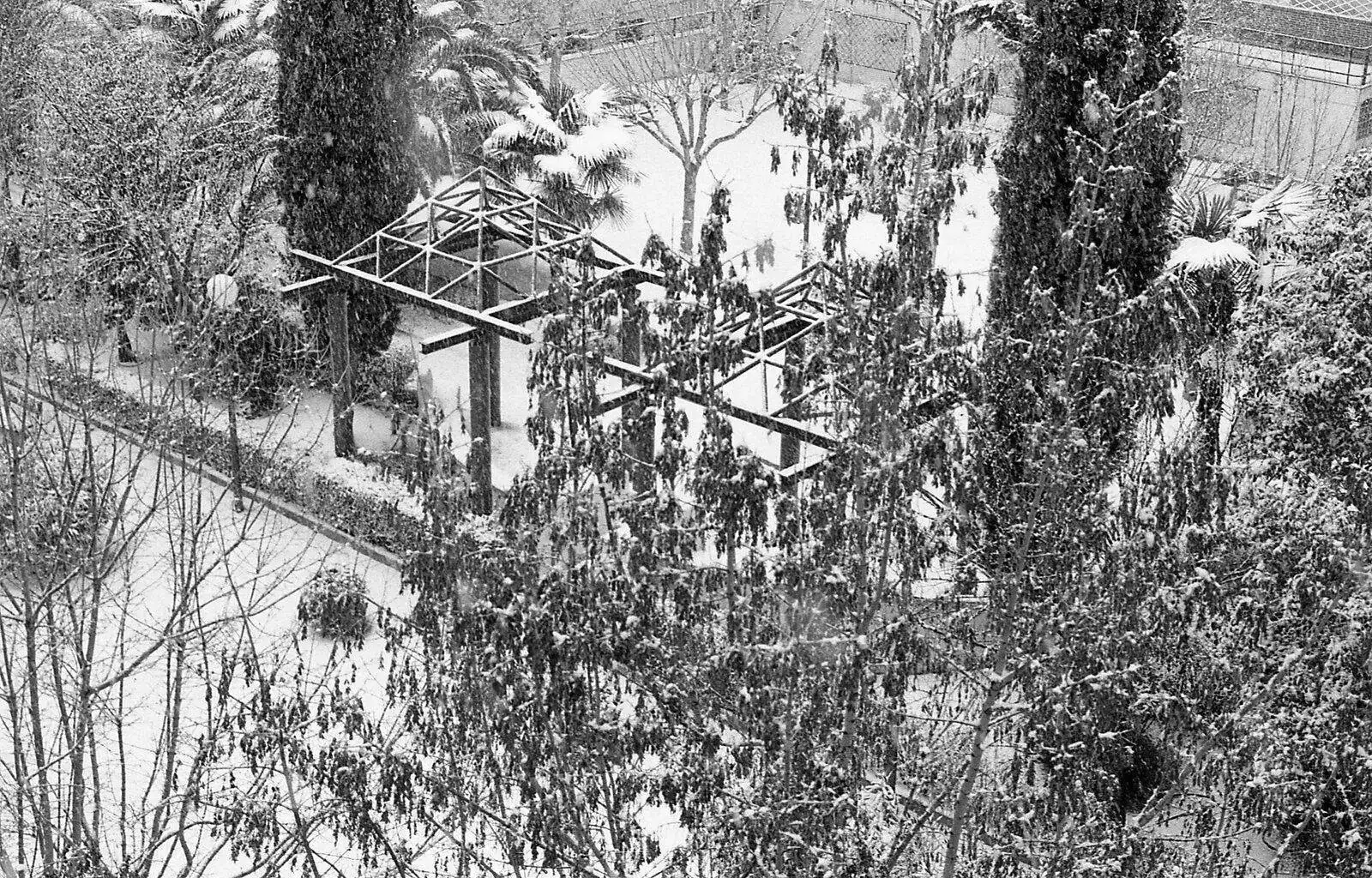 leica  y  kiev  3  jupiter 082.webp