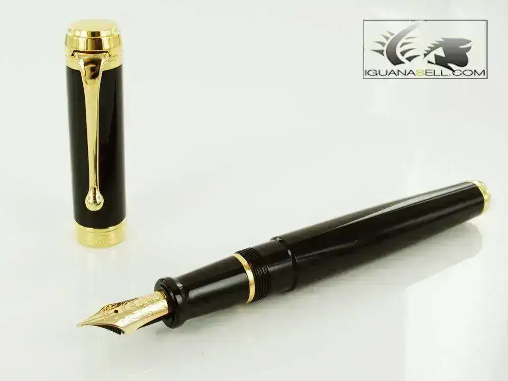 lentum-Fountain-Pen-Black-Resin-&-Gold-Nib-D12NM-1.webp