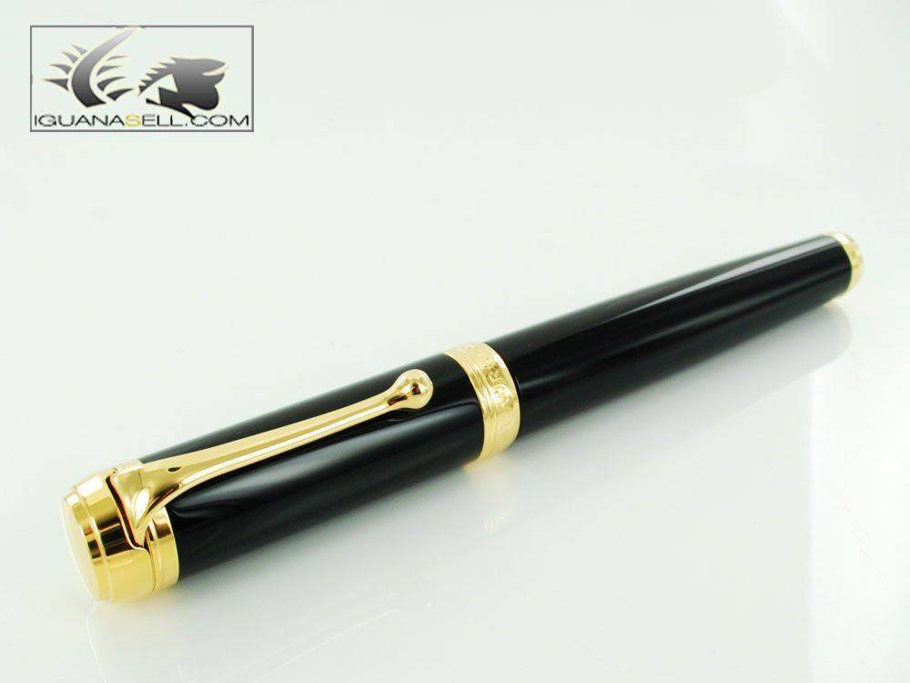 lentum-Fountain-Pen-Black-Resin-&-Gold-Nib-D12NM-2.jpg