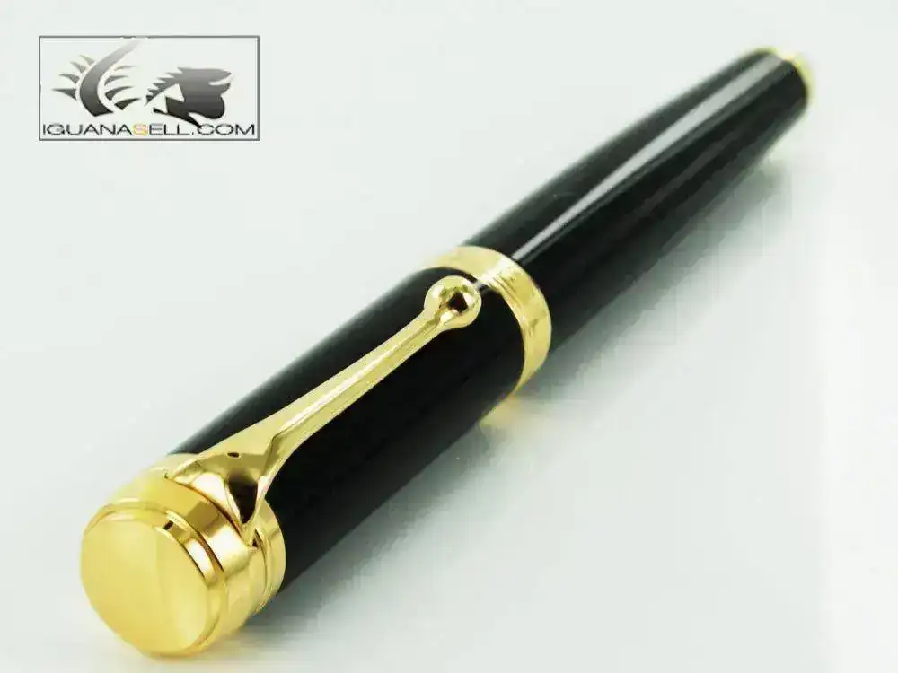 lentum-Fountain-Pen-Black-Resin-&-Gold-Nib-D12NM-4.webp