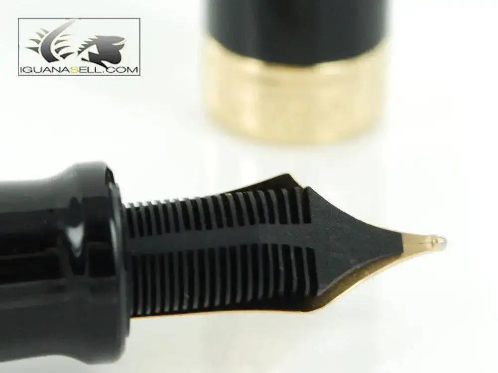 lentum-Fountain-Pen-Black-Resin-&-Gold-Nib-D12NM-5.webp