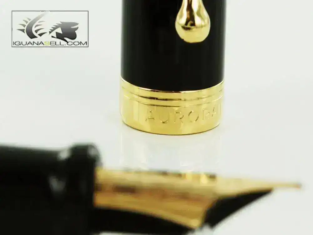 lentum-Fountain-Pen-Black-Resin-&-Gold-Nib-D12NM-6.webp