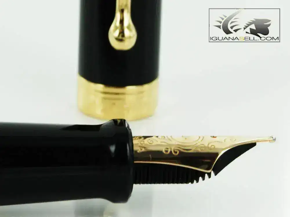 lentum-Fountain-Pen-Black-Resin-&-Gold-Nib-D12NM-7.webp