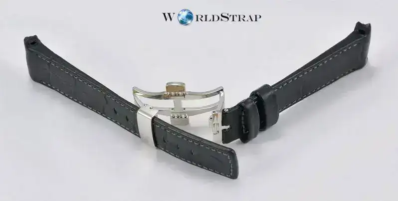 Leonardobroche5.webp