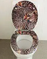 leopard.webp