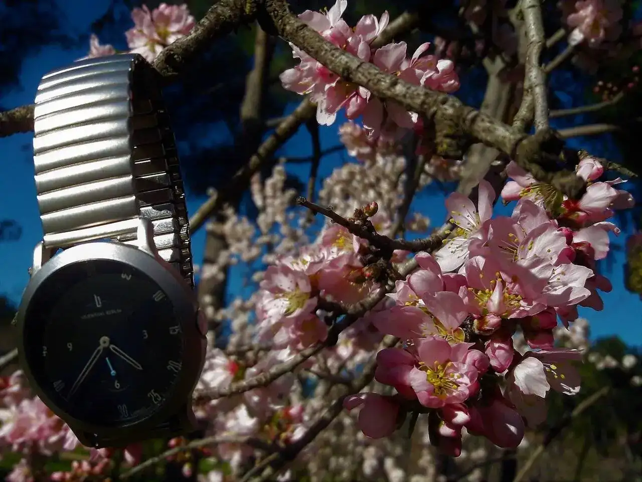 Lili Almendros 2.webp