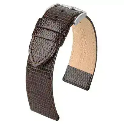 lizardlook.webp