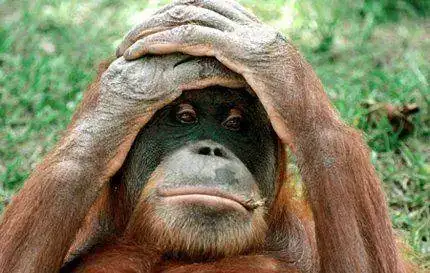 llevarse%20las%20manos%20a%20la%20cabeza2.webp