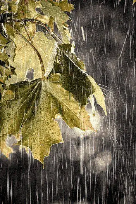 lluvia.webp