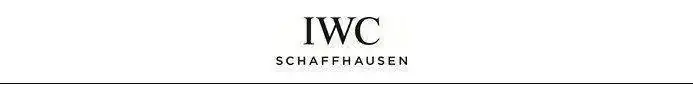 LOGO iwc.webp