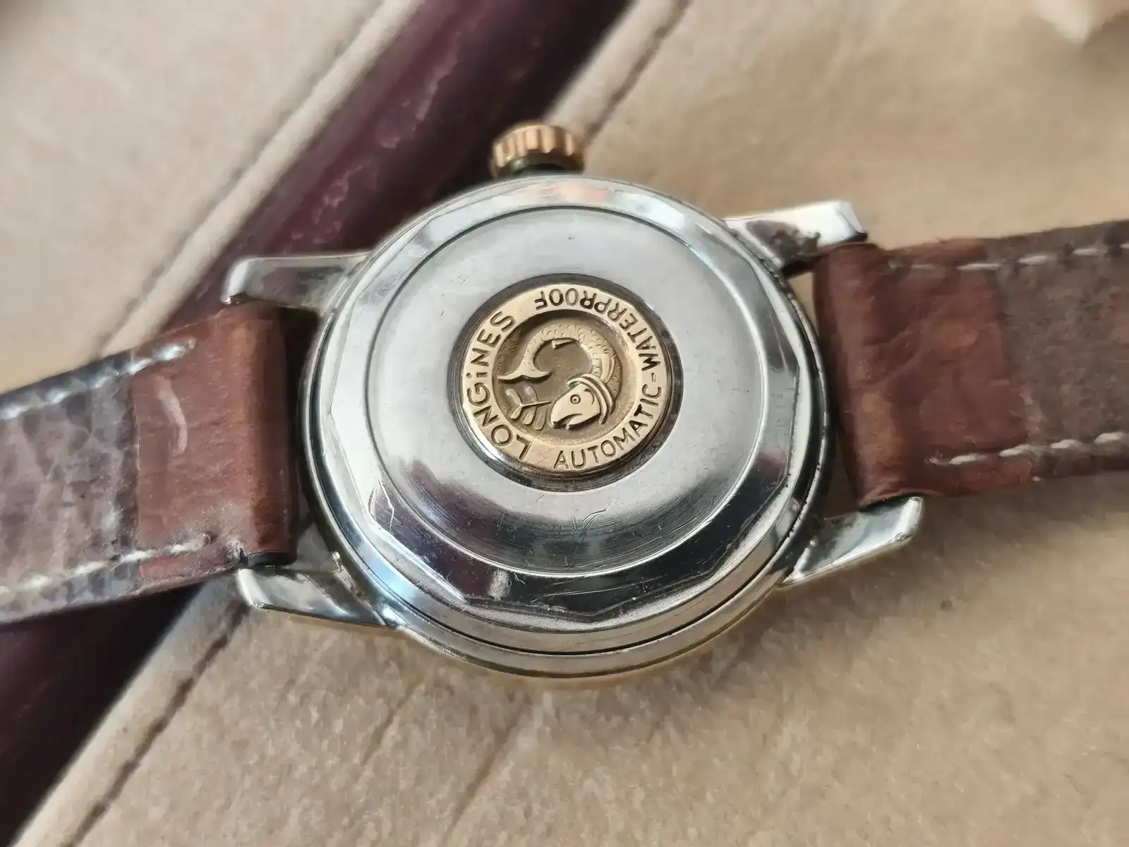 longi conquest cal4.webp