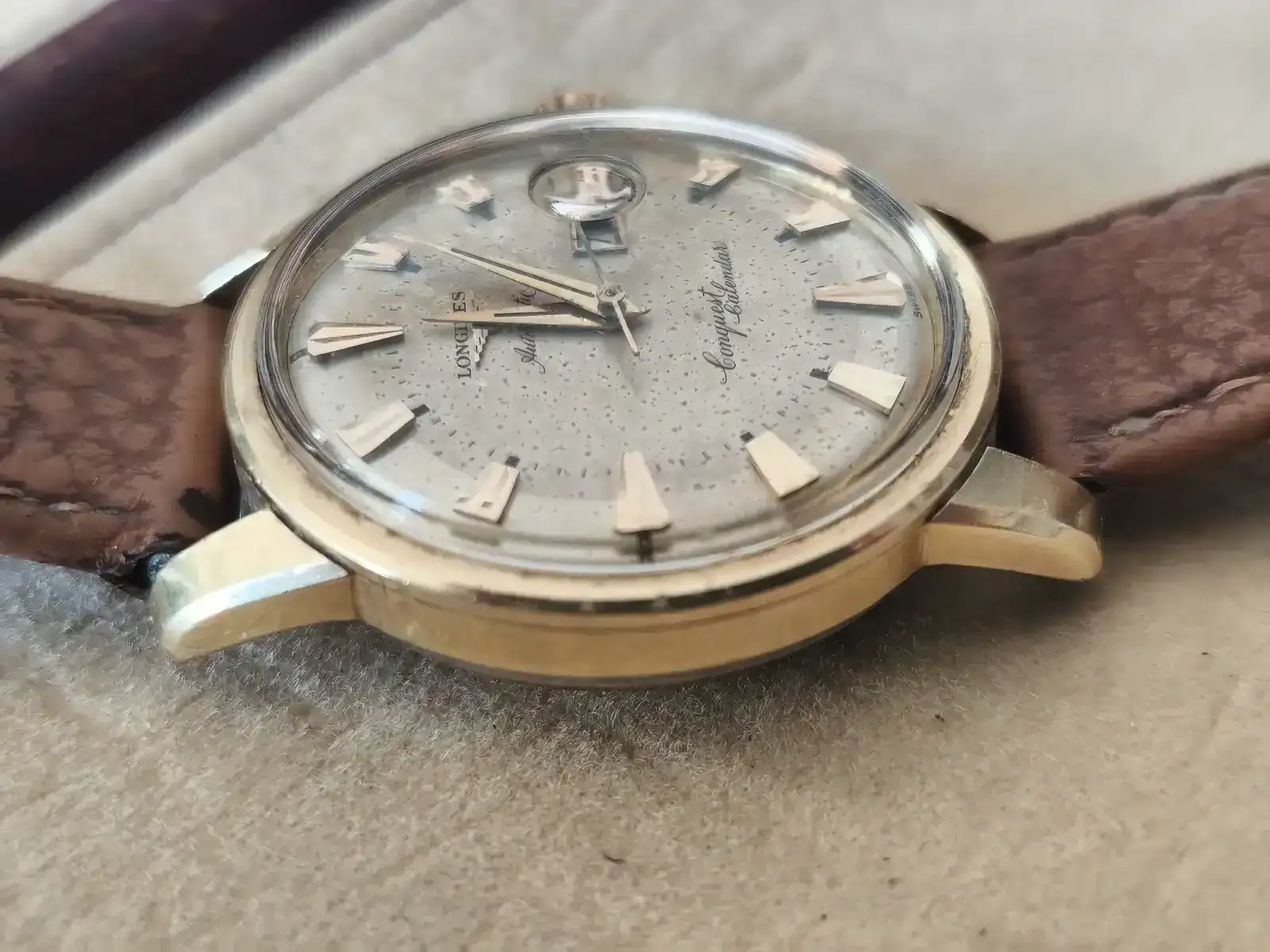 longi conquest cal5.webp