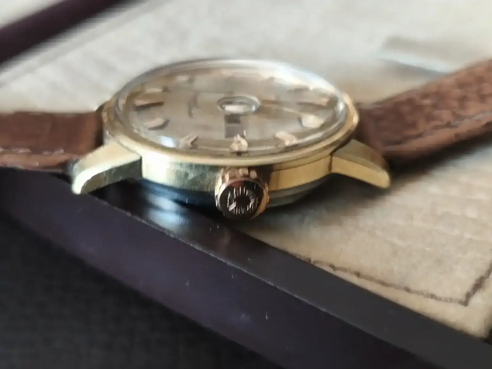 longi conquest cal6.webp