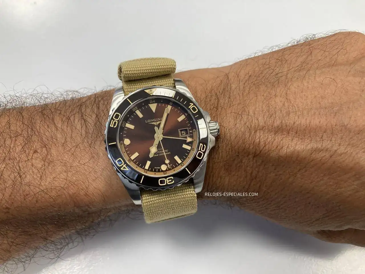 Longines Hydroconquest 41 2.JPG