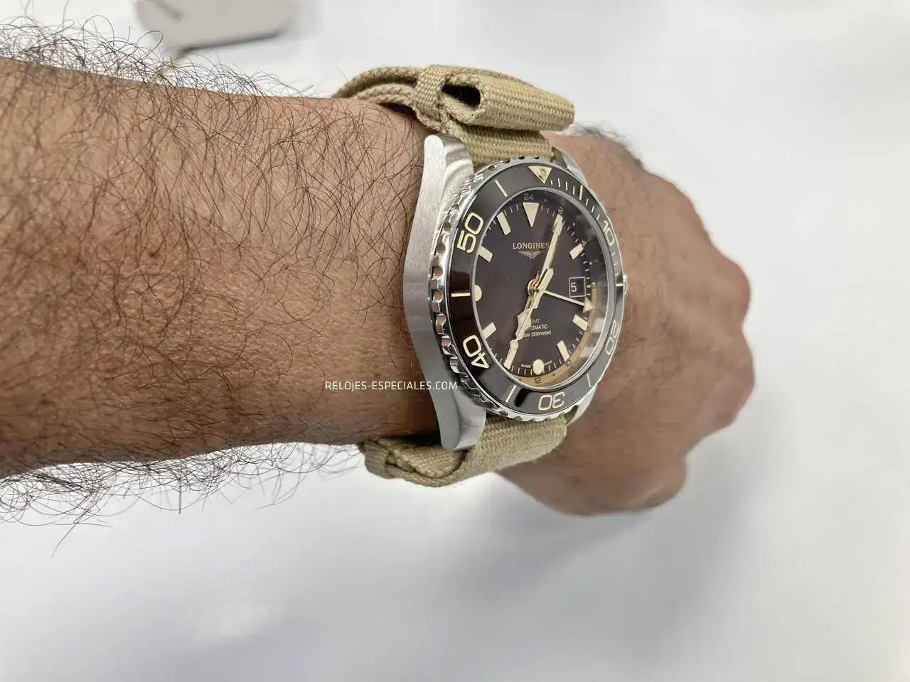 Longines Hydroconquest 41 3.JPG