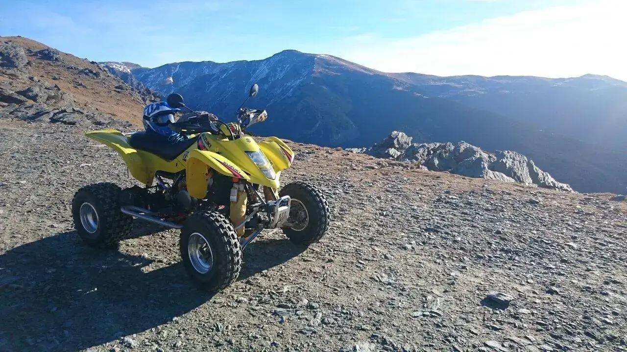 LTZ 1.JPG