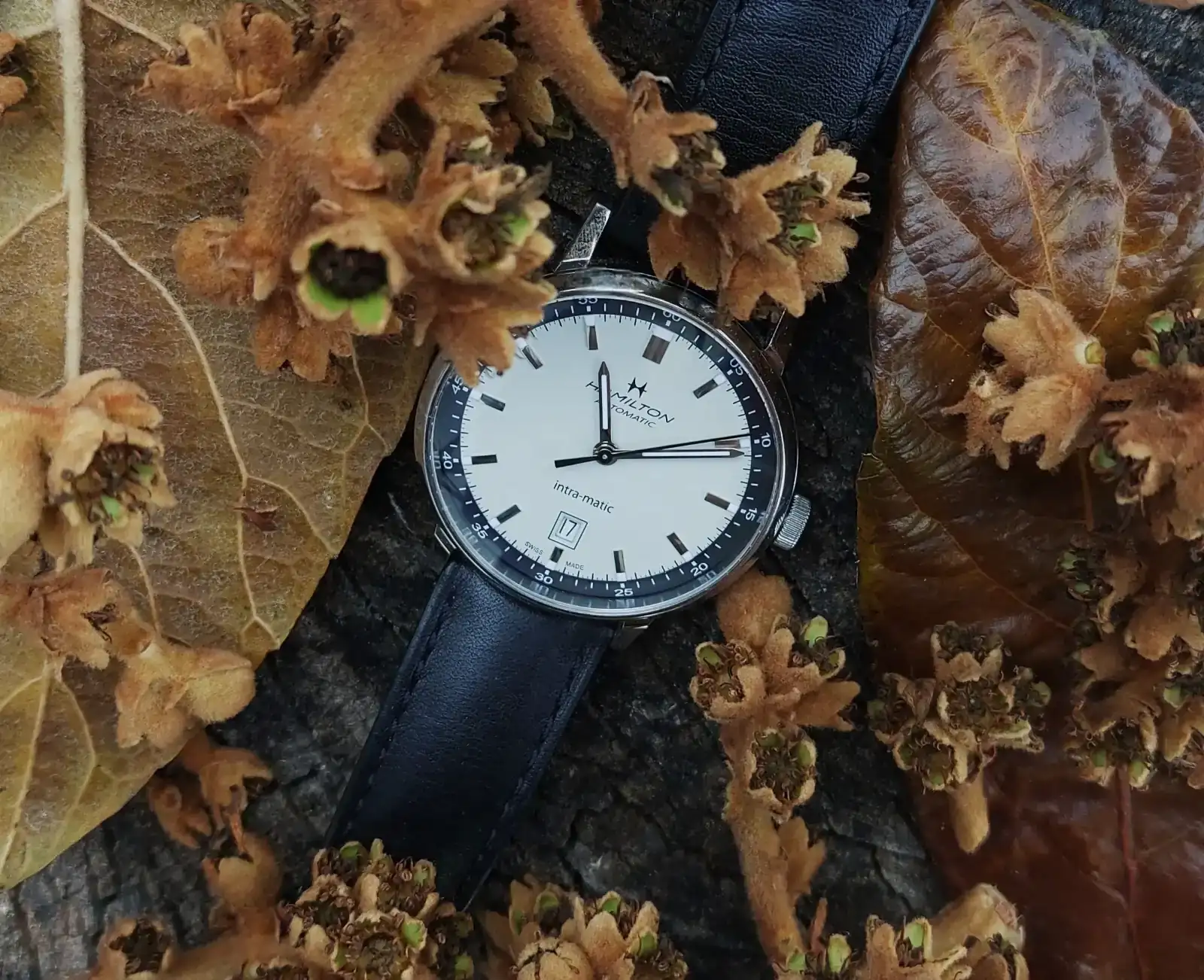 LUN20251209_115220 (2).webp