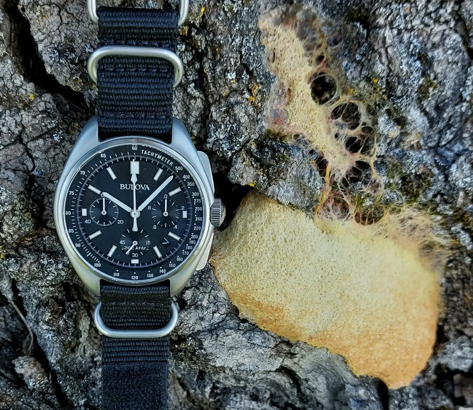 LUN20260420_095817 (1).webp