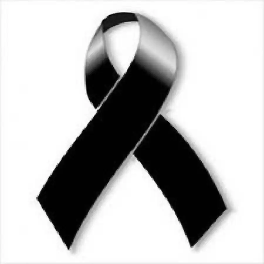 LUTO+INDEP.webp