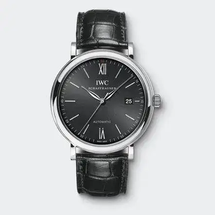 M02_IW356502_2011_grey.webp