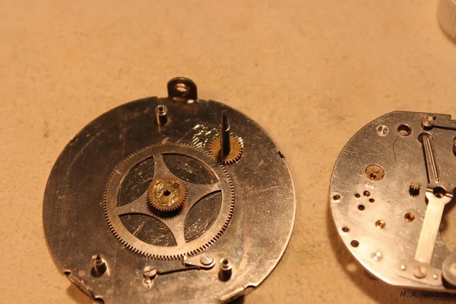 m10103771412.webp