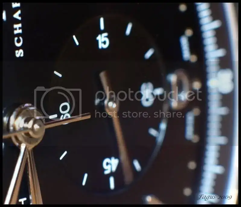 Macrosportu14of211024x768.webp